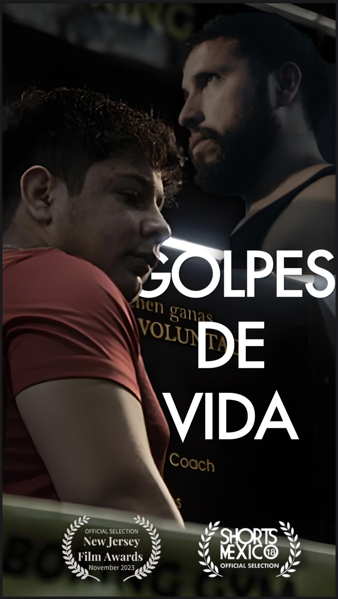 Poster de la película