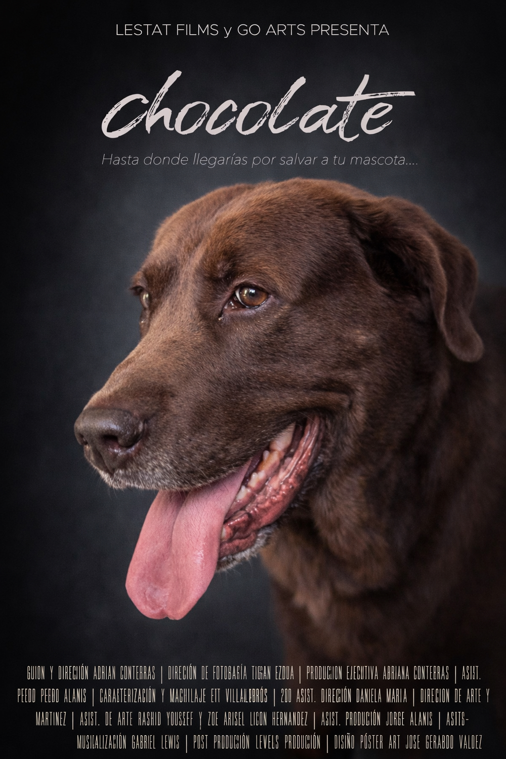 Poster de la película