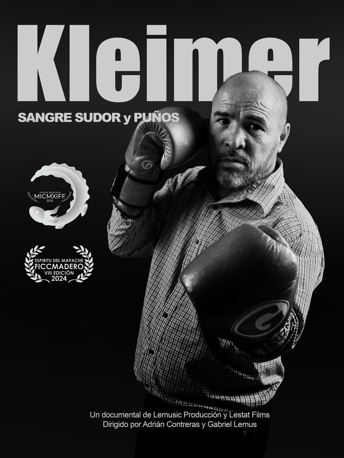 Poster de la película